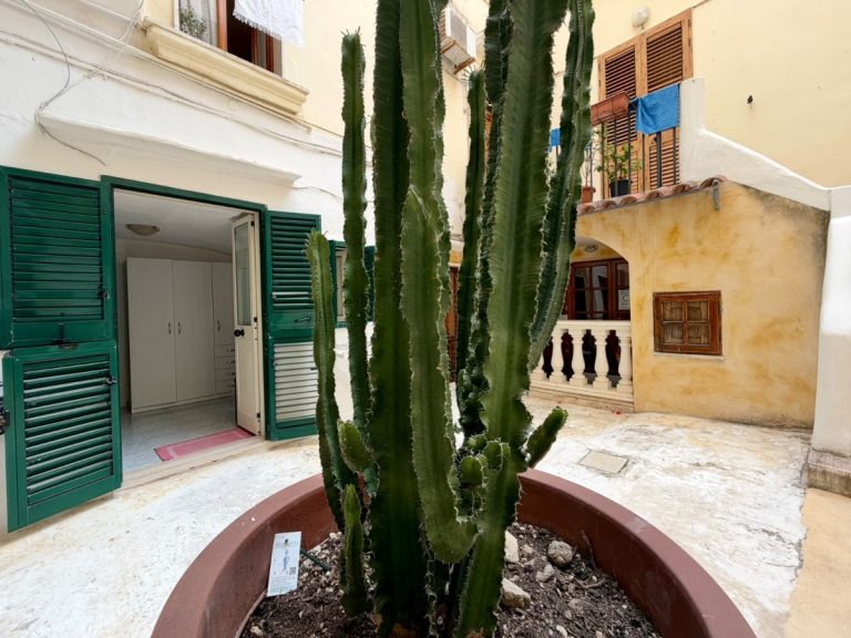 Bilocale in ottimo stato con tipiche volte a botte nel cuore del centro storico di Gallipoli